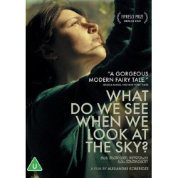 What Do We See When We Look...