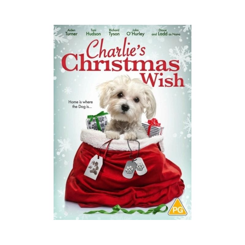 Charlies Christmas Wish (2020) (DVD)