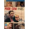 Poor Cow (1967) (DVD)