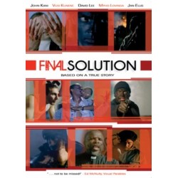 Final Solution (2001) (DVD)