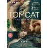 Tomcat (2016) (DVD)
