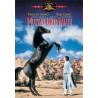 Mustan orin paluu (Black Stallion Returns) (DVD)