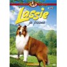 Lassie ja puuma (Flight of the Cougar (1967) ) (DVD)