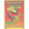 Yes: Yes Acoustic - Guaranteed No Hiss (DVD)