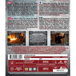 Maximum Conviction (2012) (Blu-ray)