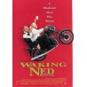 Lottovoittaja Ned (Waking Ned) (DVD)