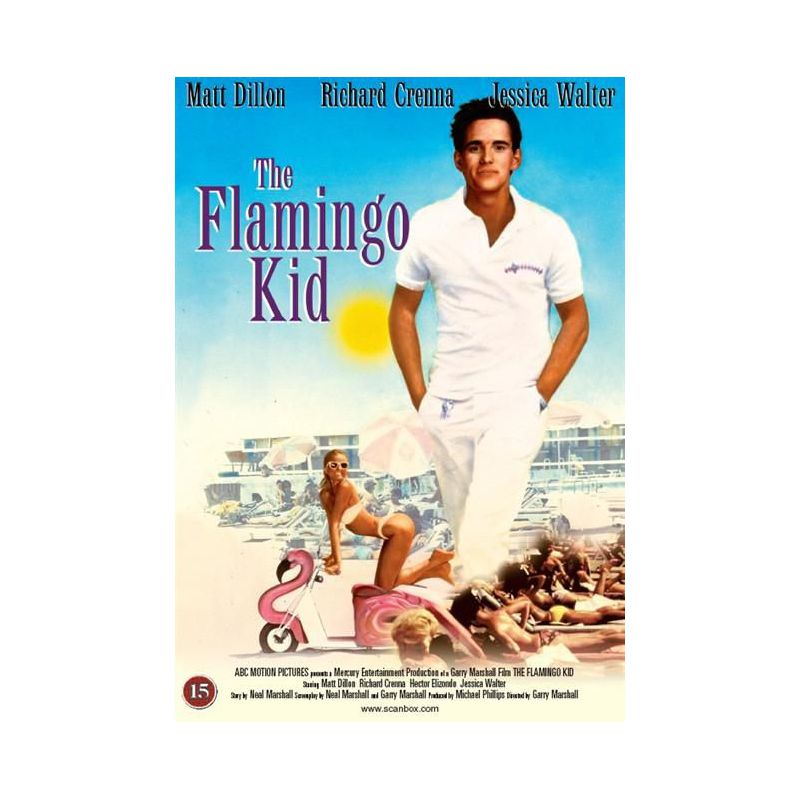 Flamingo Kid, The (1984) (DVD)