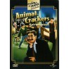 Koirankeksit (Animal Crackers (1930)) (DVD)