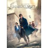 Ihmeotukset ja niiden olinpaikat (Fantastic Beasts and Where to Find Them) (DVD)