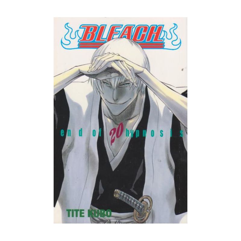 Bleach 20 (Manga)