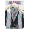 Bleach 20 (Manga)