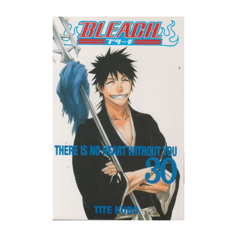 Bleach 30 (Manga)