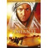 Ashanti (1979) (DVD)