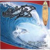 The Silver Hawks - Surf Coast To Coast (CD)