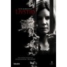 Elinkautinen (Livstid (2012)) (DVD)