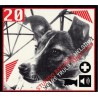 Stupido 20 (CD)