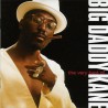 Big Daddy Kane - The Very Best Of Big Daddy Kane (CD)
