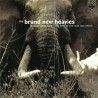 The Brand New Heavies - Dream Come True (The Best Of The Acid Jazz Years) (CD)