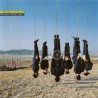 Alan Parsons - Try Anything Once (CD)