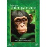 Chimpanzee (DVD)