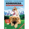 Koiruuksia Keskuspuistossa (Chestnut: Hero of Central Park (2004)) (DVD)