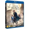 Ihmeotukset ja niiden olinpaikat (Fantastic Beasts and Where to Find Them (2016)) (Blu-ray)