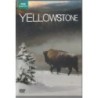 Yellowstone (DVD)