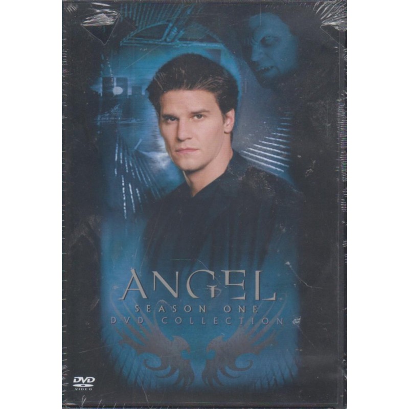 Angel - Kausi 1 (Angel - Season 1 (SWE)) (6 DVD)
